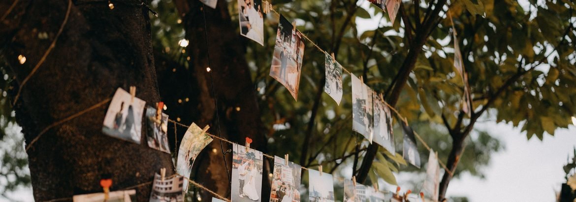 Decoración colgada de un árbol