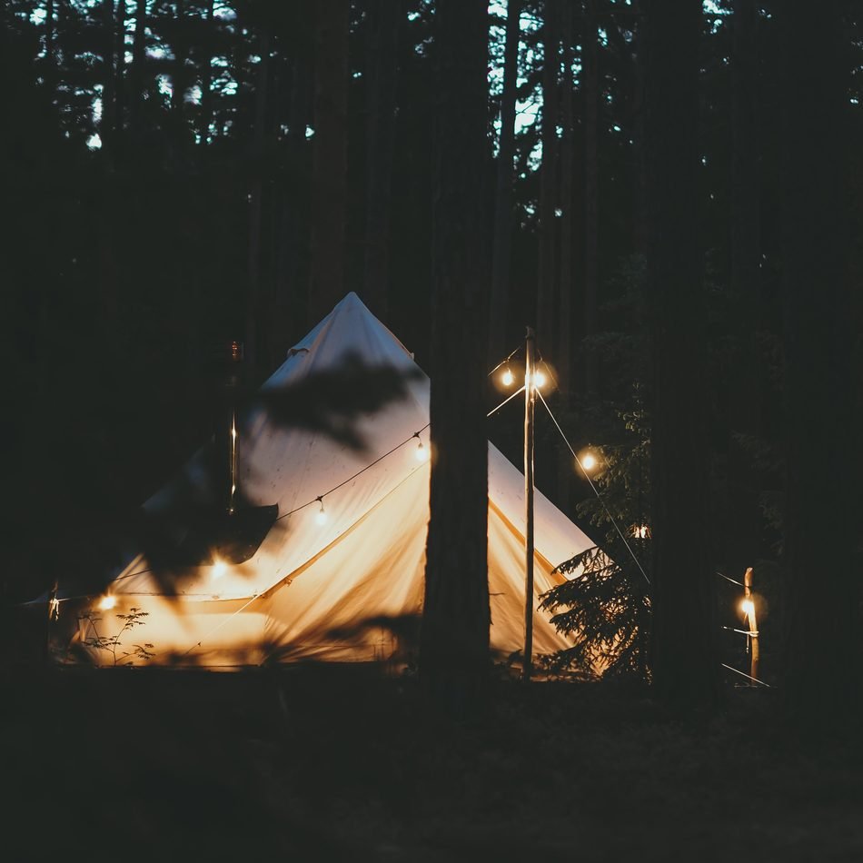 La carpa permanente entre los pinos